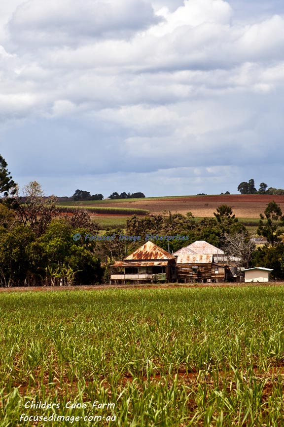 A cane farm in Childers Southeast Queensland.