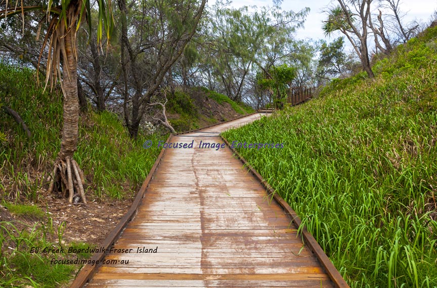 Boardwalk at Eli Creek Fraser Island Queensland.