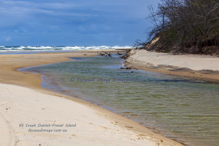 Eli Creek outlet to the ocean. Fraser Island Southeast Queensland.