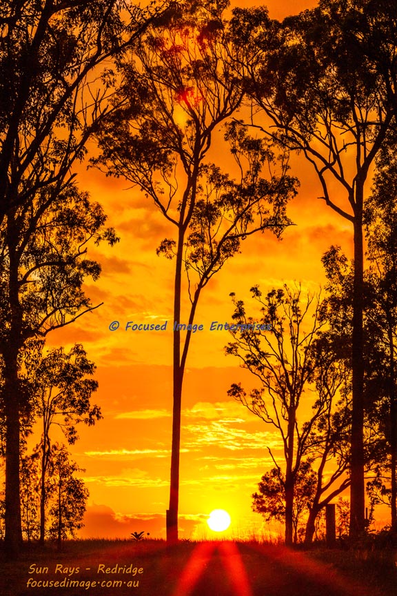 Rays of sun at sunrise in Redridge Southeast Queensland.