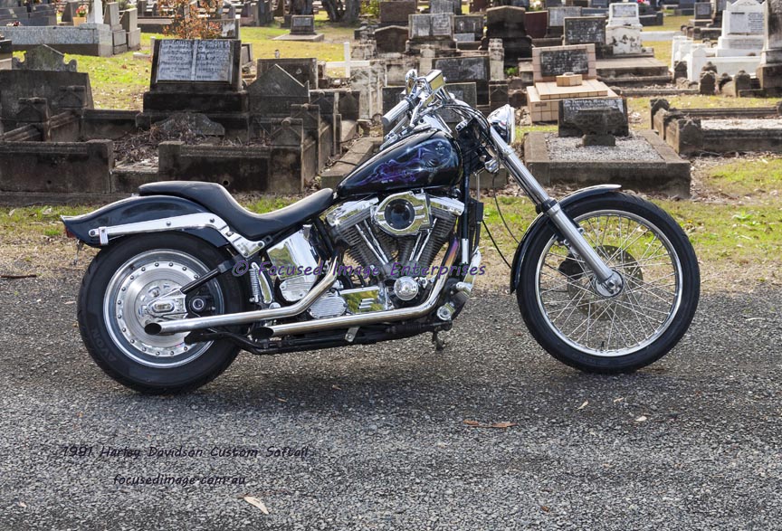 1991 Harley Davidson Custom Softail Motorcycle