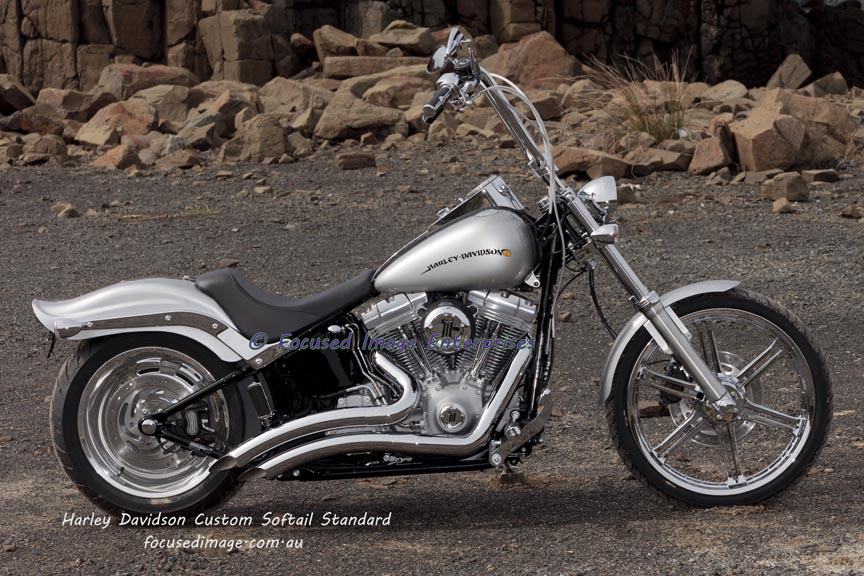 Harley Davidson Custom Softail Standard Motorcycle