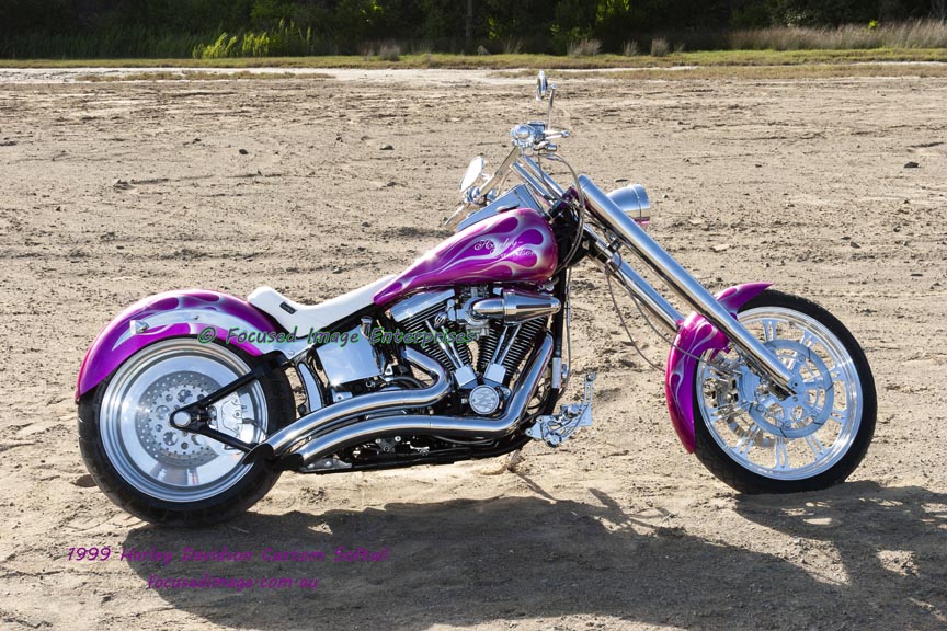 1999 Harley Davidson Custom Softail Motorcycle