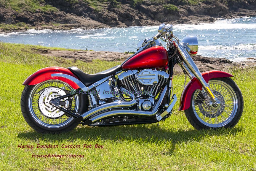 Harley Davidson Custom Fat Boy Motorcycle