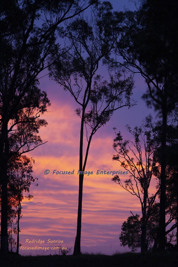 Redridge Sunrise Southeast Queensland
